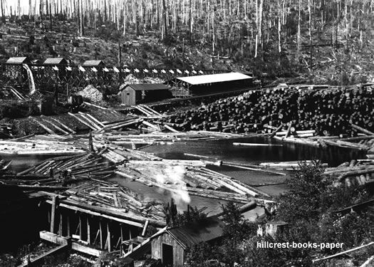 Bridal Veil BV Lumber Co Oregon Saw Mill & Flume 1911  