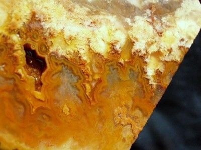 Graveyard Point Plume Agate Slab Cabbing Rough WoW  