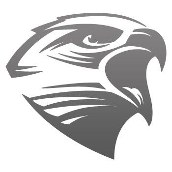 Vinyl Decal Sticker Eagle Hawk Truck motorbike W7X49  