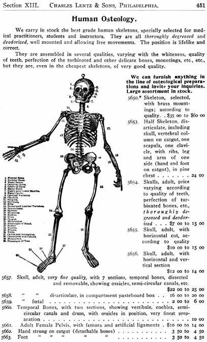 BLOODLETTING/LEECH/FLEAM/CUPPING/LANCET ~ Rare Images  