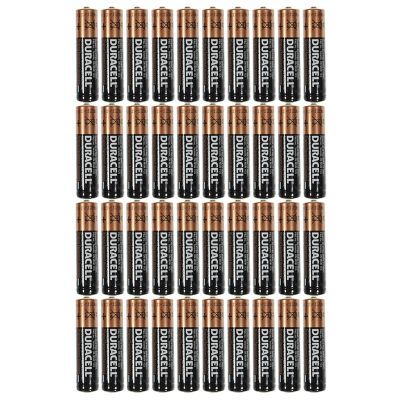   Batteries Copper Top Alkaline Long Lasting Exp. March 2018 Bulk  