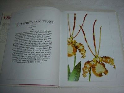 Book of Orchids   by Carl Withner   illust/ Juan Vela  