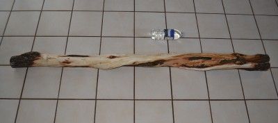   Raw Diamond Willow Walking Stick Cane Hike Climb Trek Taxidermy Forest