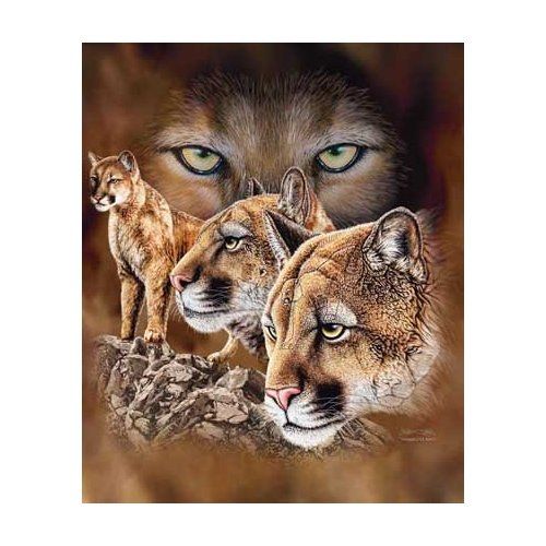 New Signature Collection 10 Cougars Korean Mink Blanket Queen Size 