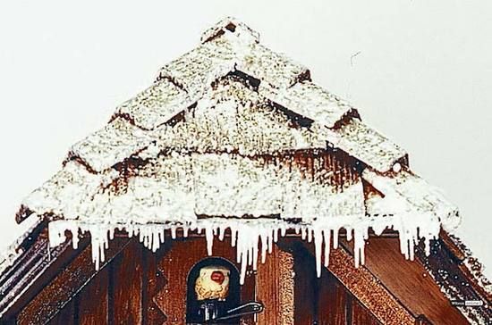 day musical   Chalet Cuckoo Clock   Winter   15  