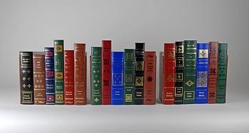 Faux Book Spines, Shelf Organizer, Fake Books, Child Favorites, 10x10 