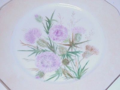 HAVILAND LIMOGES FRANCE PLATE H & CO DEPOSE 1888  