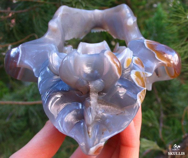 STUNNING Gray & White Agate Carved Crystal Bear Skull  