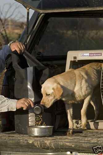 Avery Greenhead Gear Sporting Dog Dri Stor Food Bag WE  