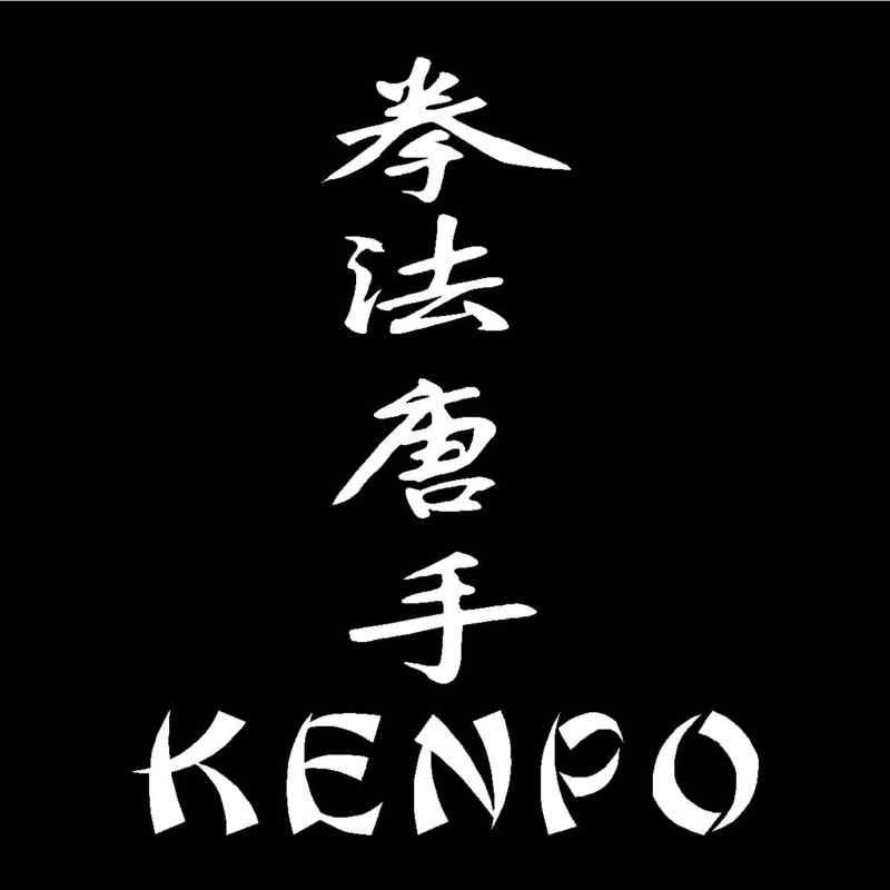 KENPO KANJI Vinyl Decal 5 x 6.25 (11 Colors)  