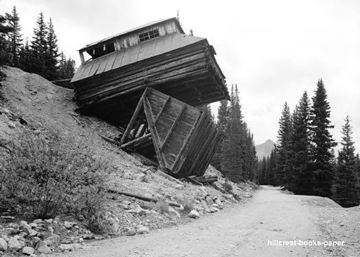 Mary Murphy Mine Ore Bin & Chute Iron City CO photo  