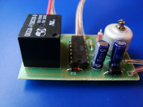 Very Accurate Electronic Thermostat Incubator Eggs 12V  