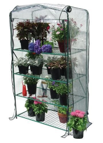 New Deck & Patio 4 Shelf Wall Greenhouse   40x20x66H  